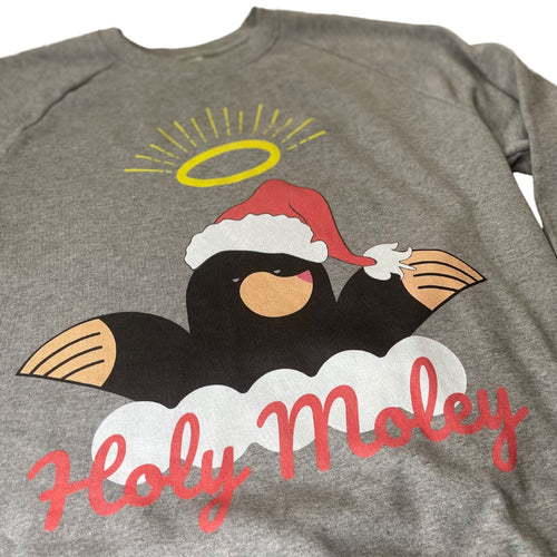 Holy Moley Organic Christmas Jumper by stray funk design