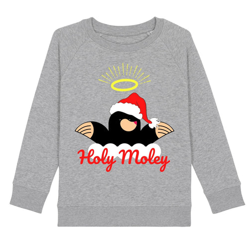 Kids Holy Moley Organic Christmas Jumper by stray funk design