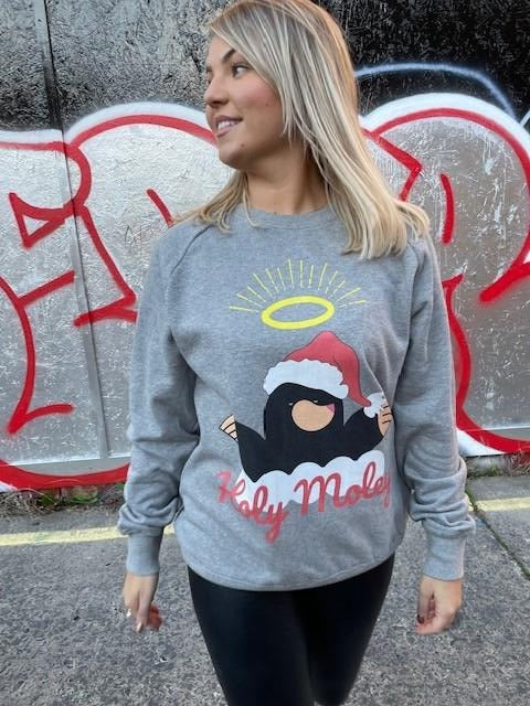 Holy Moley Organic Christmas Jumper by stray funk design